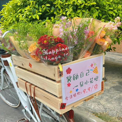 宠物知识付费